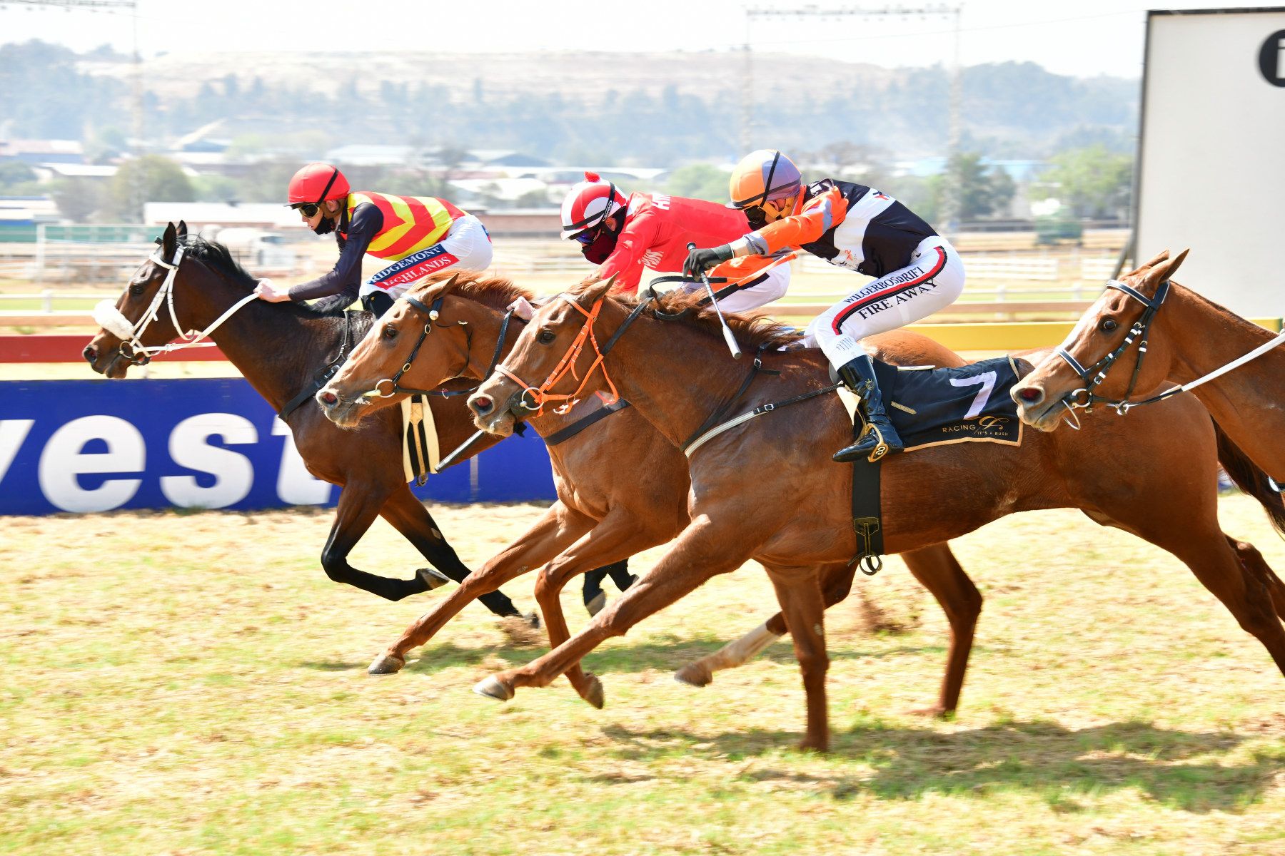 Louis Gem (Callan Murray), stayed on steadily to win. (JC Photos).