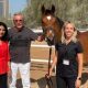 From left: Dr Sunitha Joseph, Dr Ulrich Wernery and Dr Marina Caveney who developed the African horse sickness vaccine. Courtesy: Central Veterinary Research Laboratory. (National News UAE).