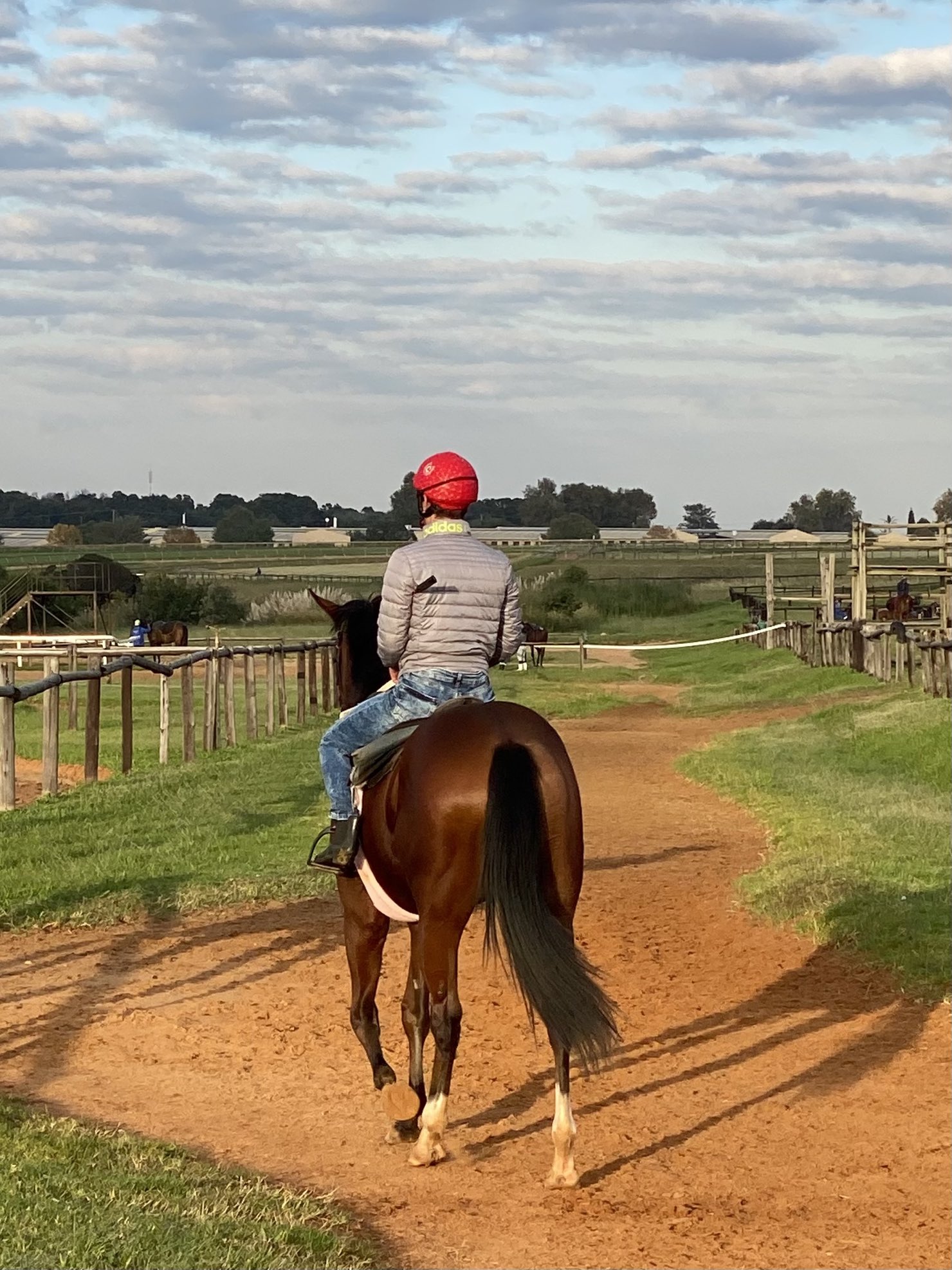 Nother Russia filly by Querari.