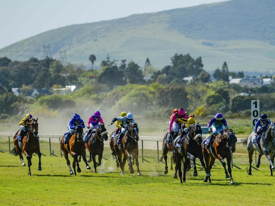Cape Racing is fast on the comeback trail.