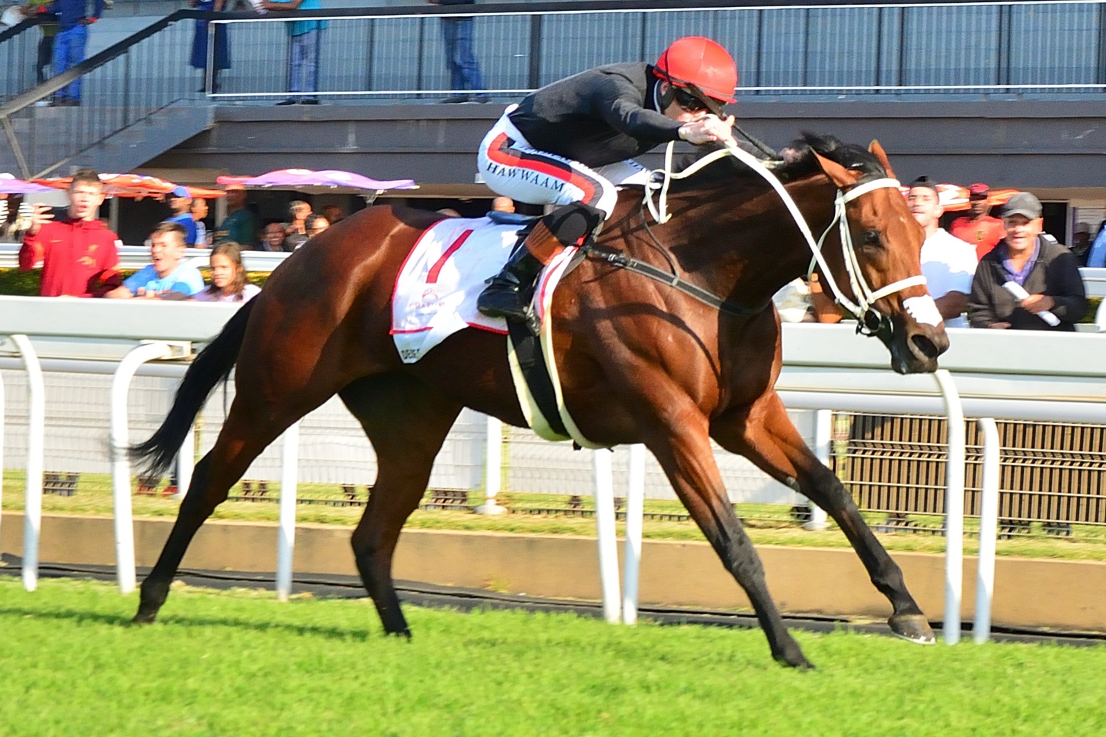 Desert Miracle, stunning win. (JC Photos).