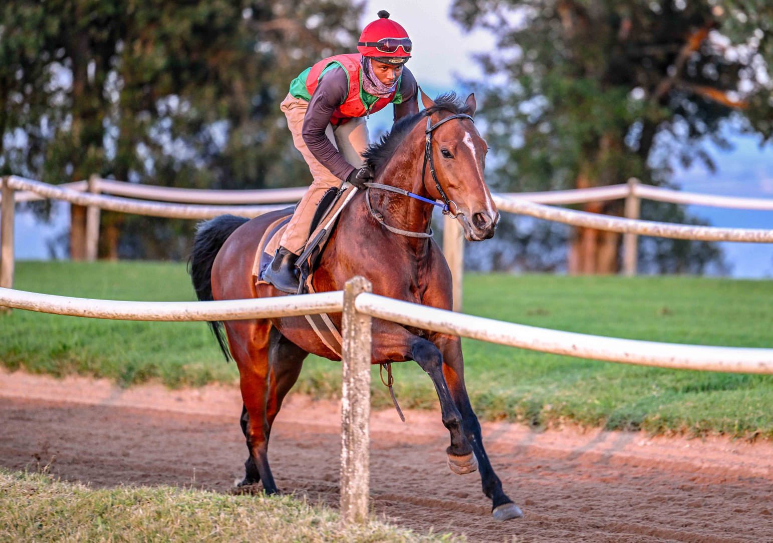 Safe Passage. (Pic: Chase Liebenberg).