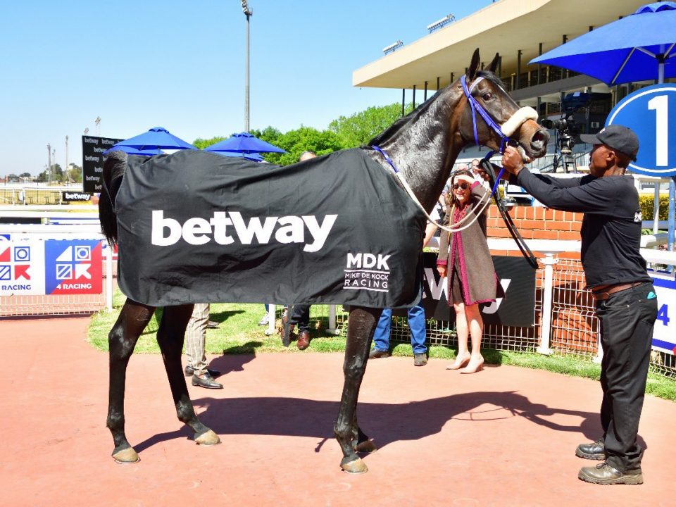Champagne Cocktail, steps up in class at Turffontein.