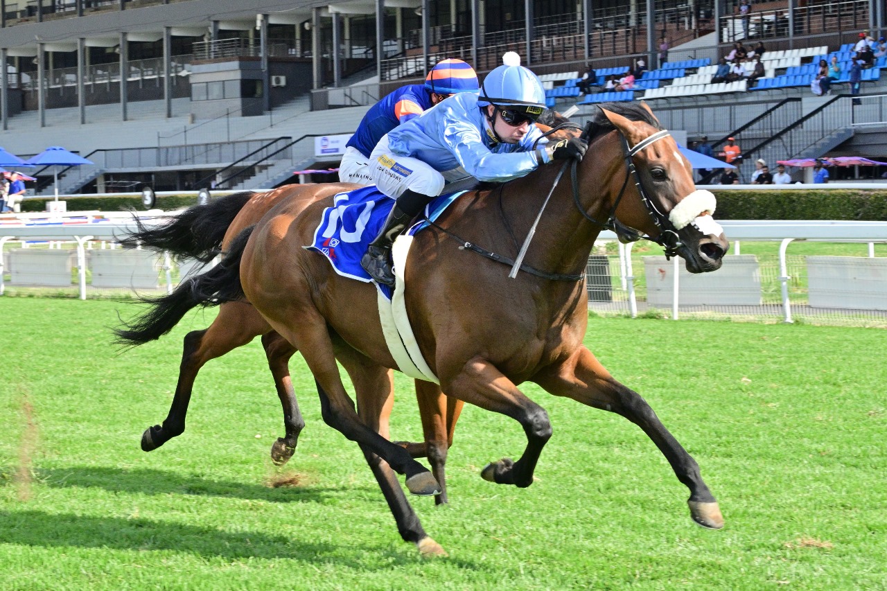 Silver Sanctuary finished hard and won well. (JC Photos).