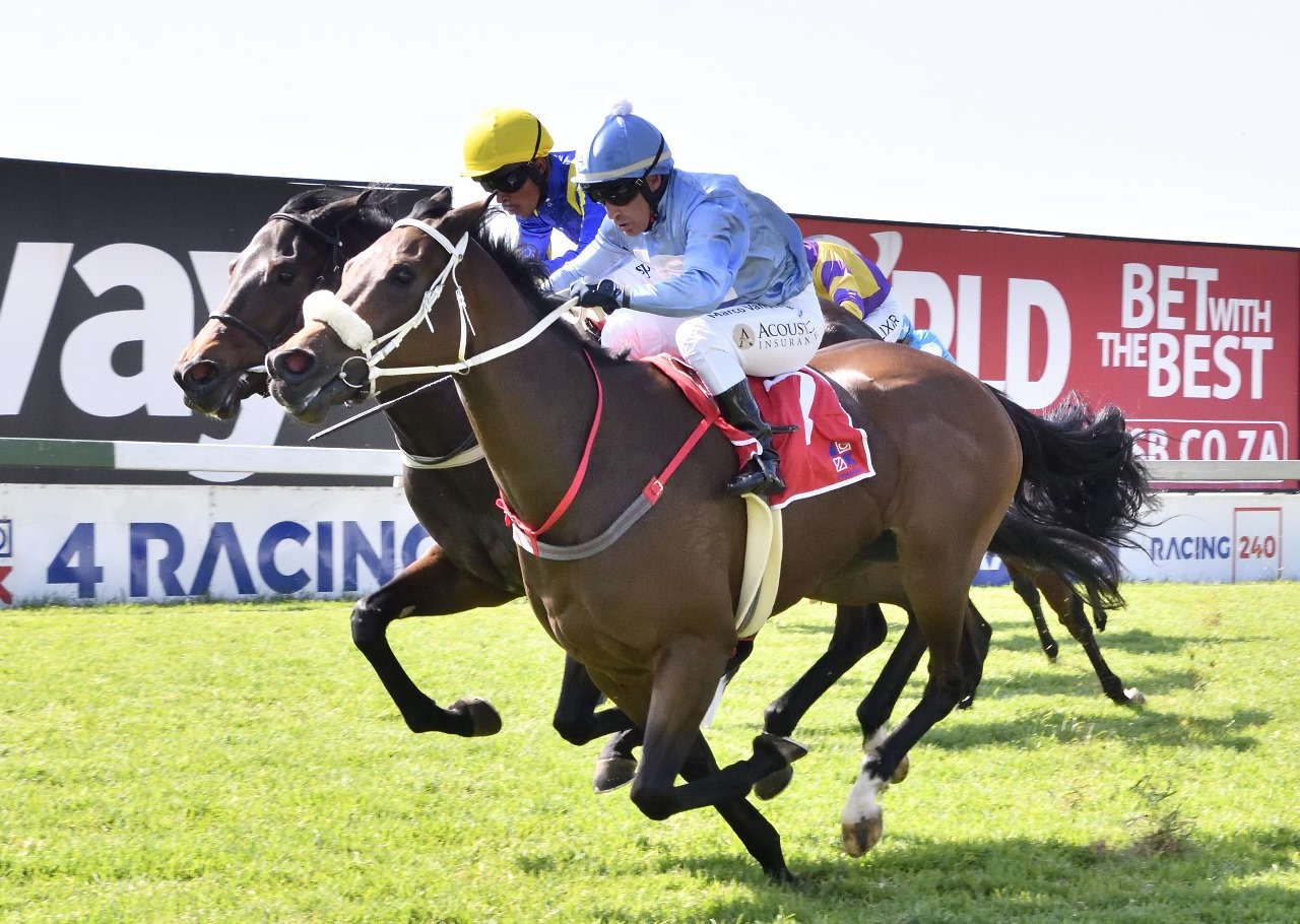 Oxalis Gold (nearest camera), wins her Maiden. (JC Photos).