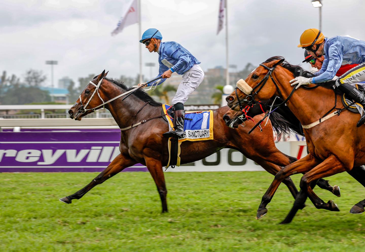 Silver Sanctuary wins the Woolavington 2000. (Candiese Lenferna).