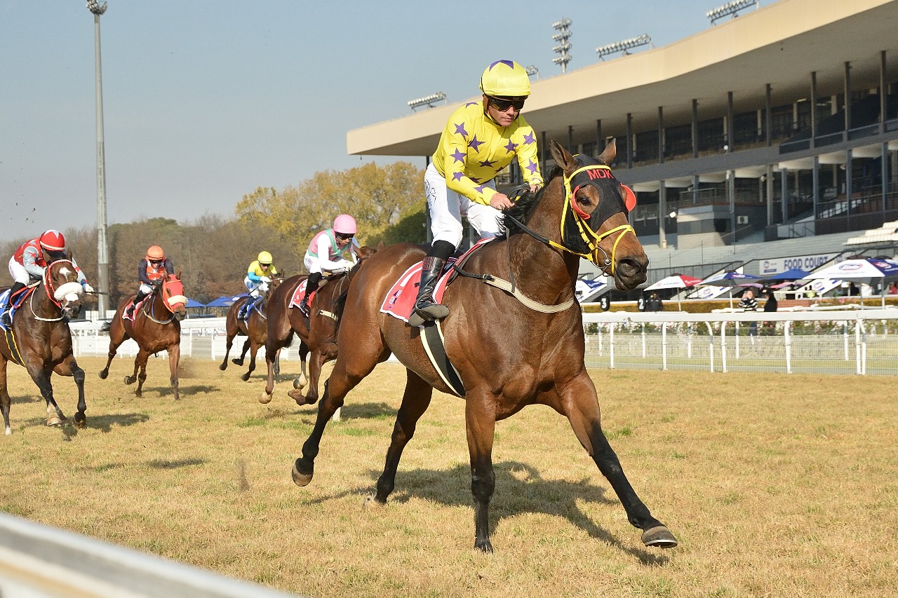 Trois Trois Quatre, easy near the rail. (JC Photos).