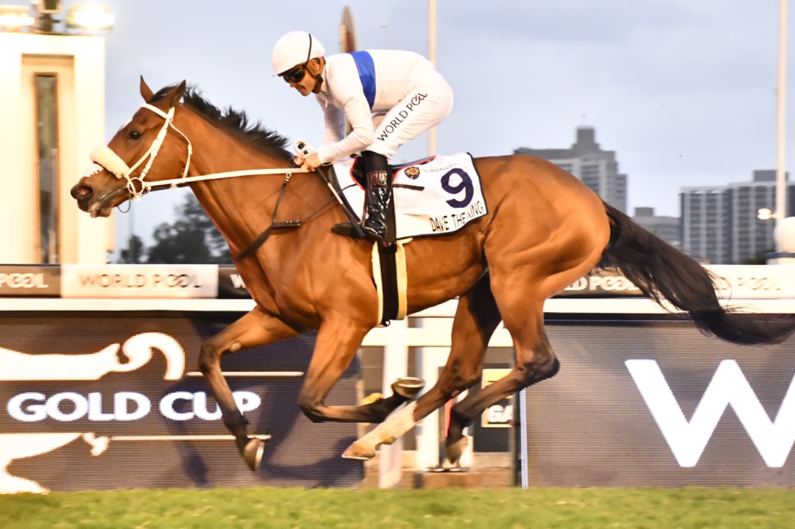 Dave The King wins the HKJC Champions Cup. (JC Photos).