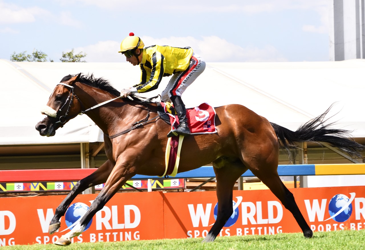 Heather's Boy, hat-trick boy! (JC Photos).