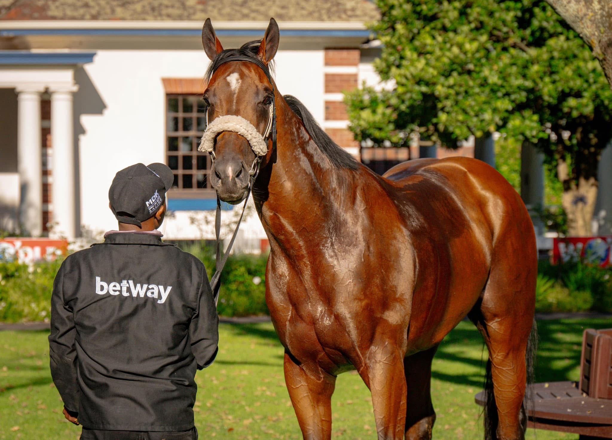 Heather's Boy ay Kenilworth this week.
