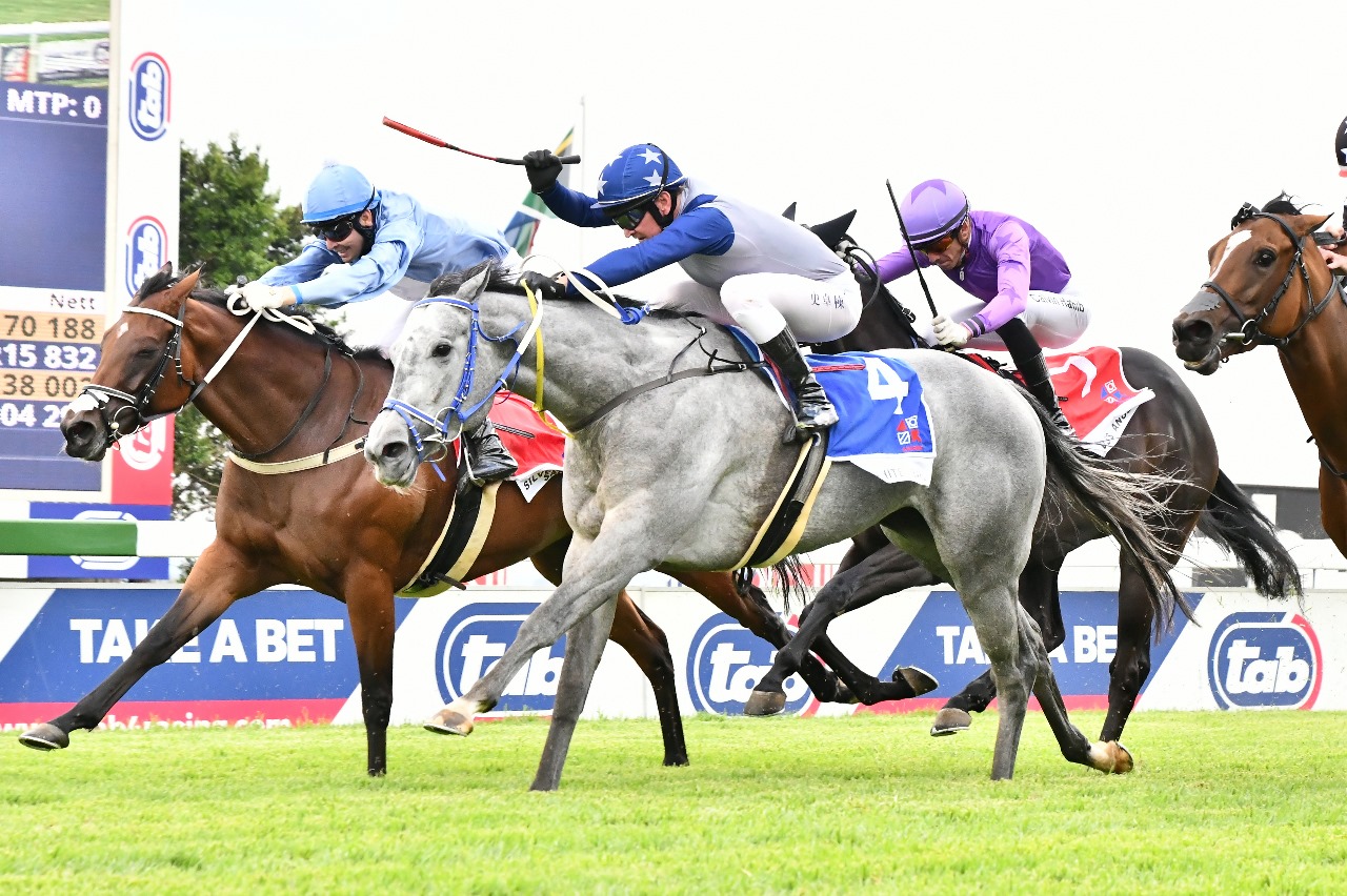 White Pearl (nearest camera), ran on to beat Silver Sanctuary. (JC Photos).