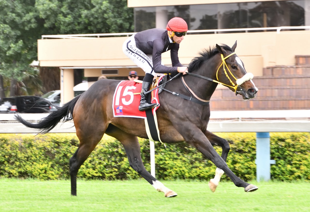 Spumante Dulce, fluent debut win. (JC Photos).