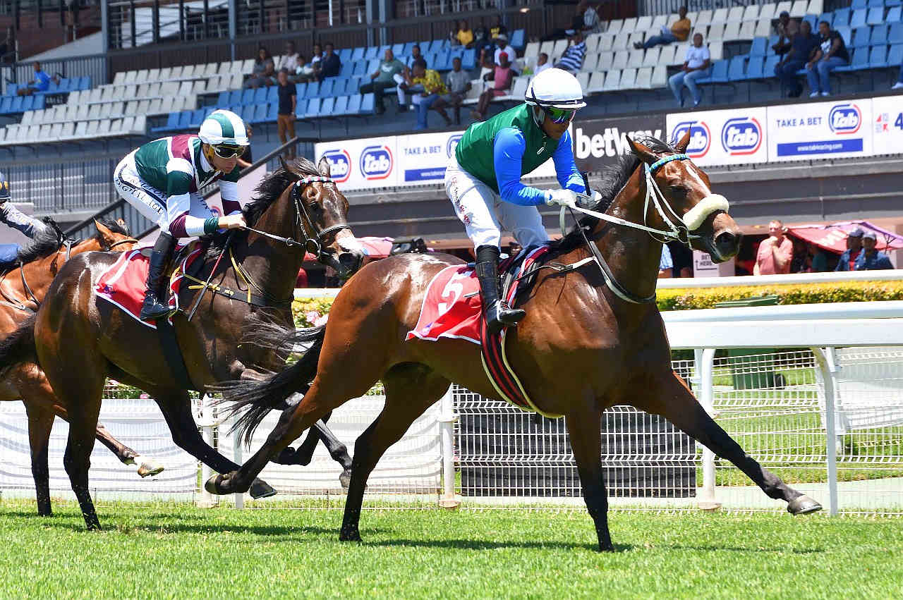 Read All About it, professional debut win. (JC Photos).
