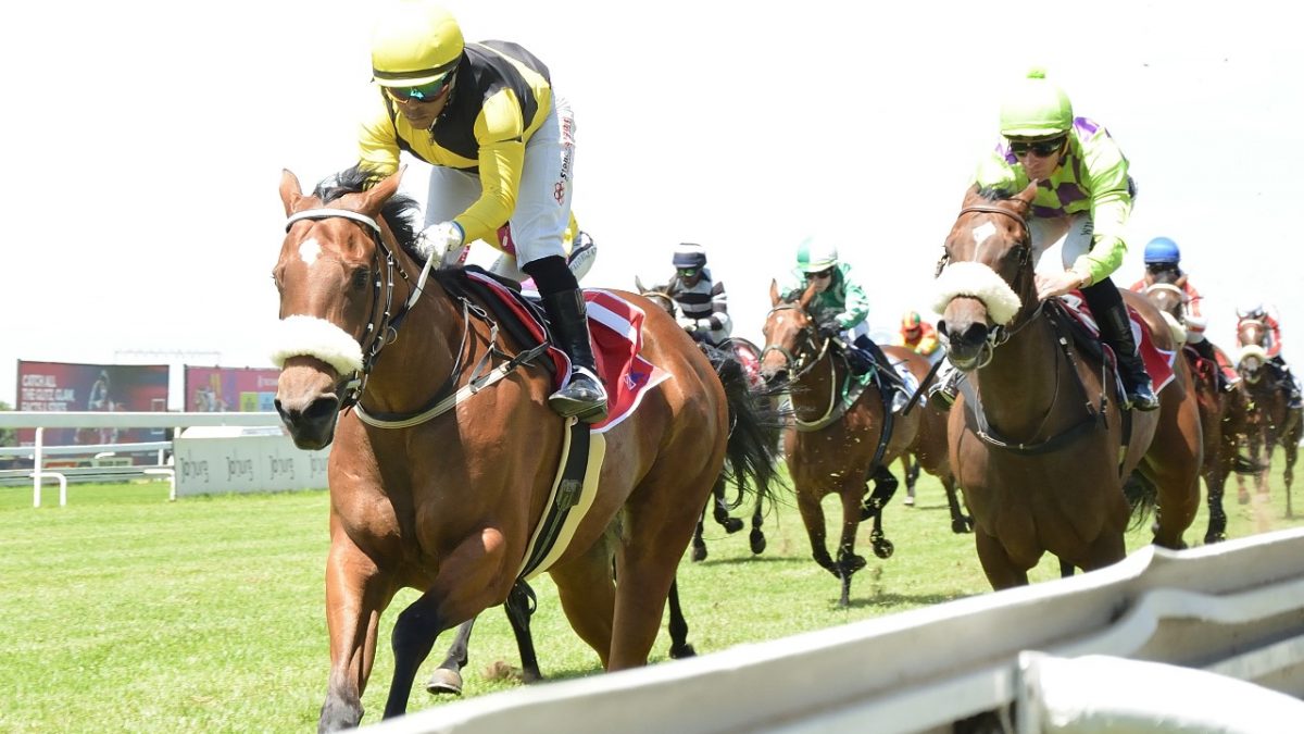 Dupont Emerald (Muzi Yeni). raced clear over the last 100m. (JC Photos).