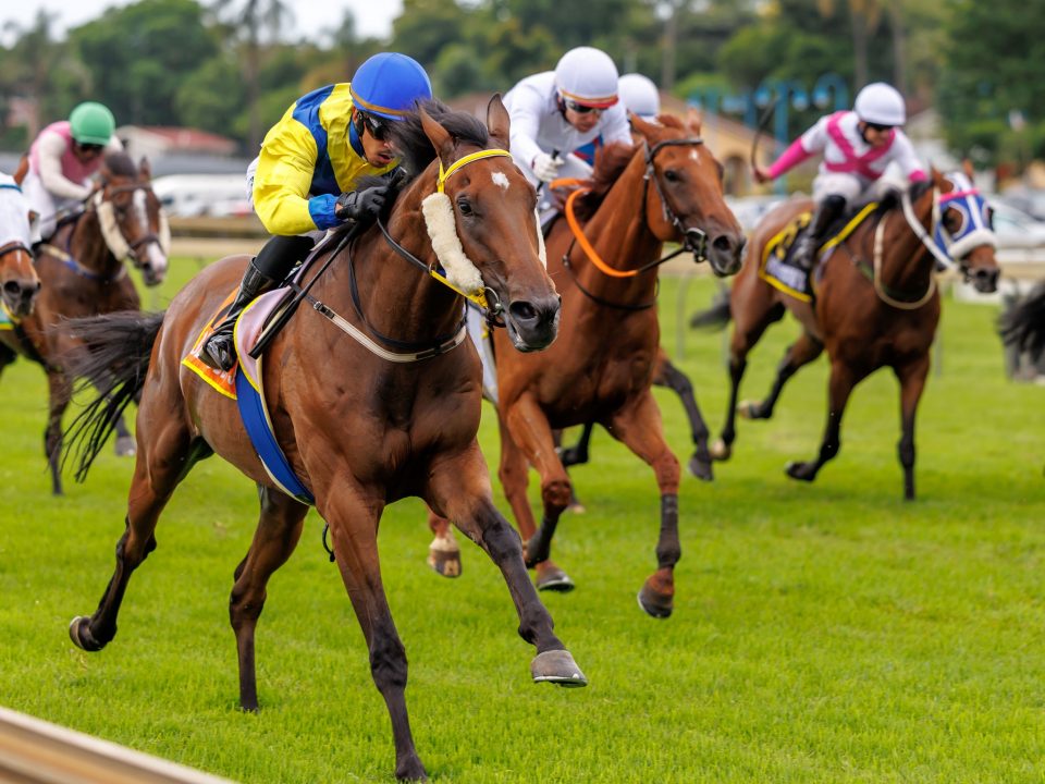 Jaham wins at HWB Scottsville.