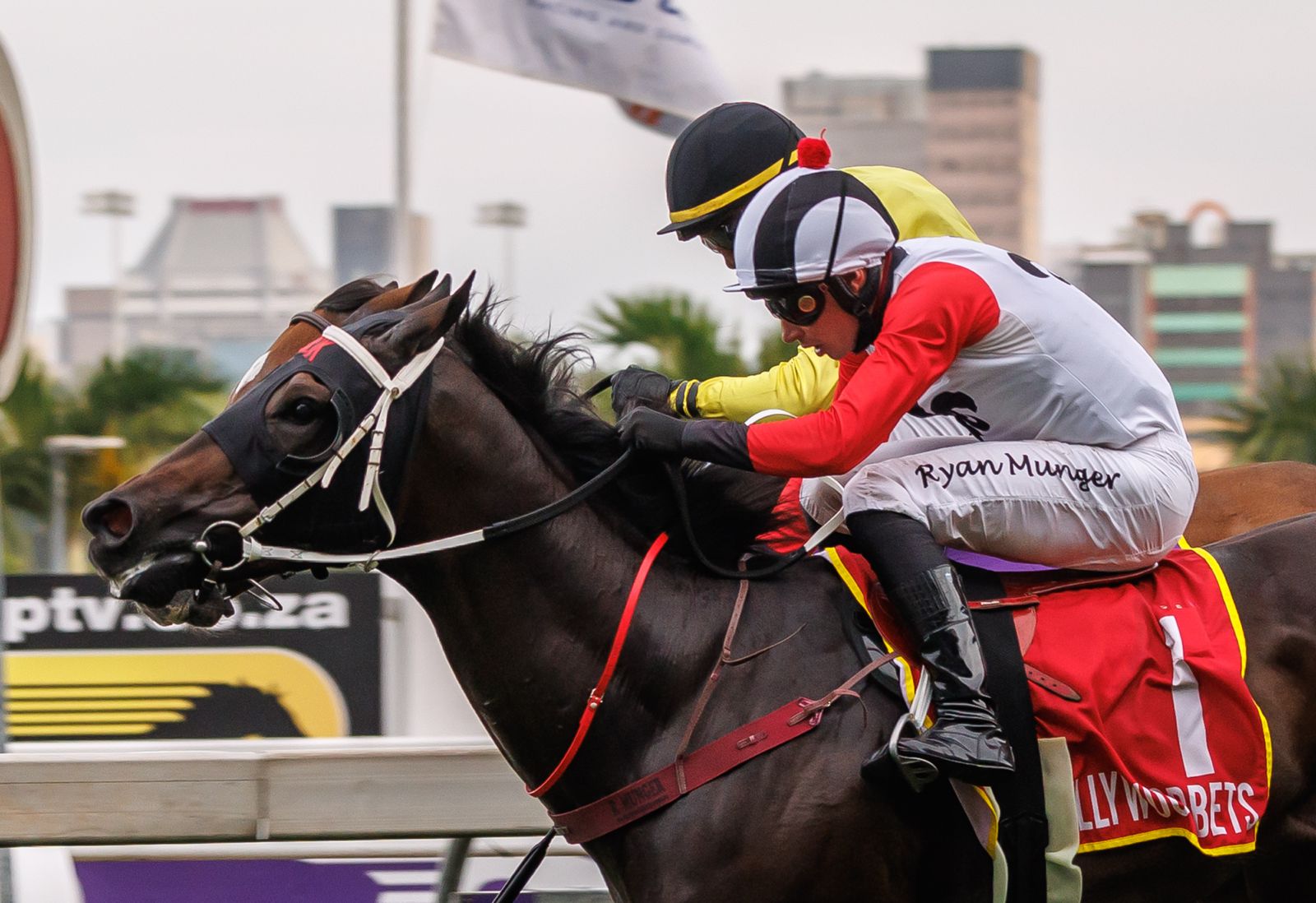 Mojo Man (Ryan Munger, nearest camera), wins at HWB Greyville. (Candiese Lenferna).